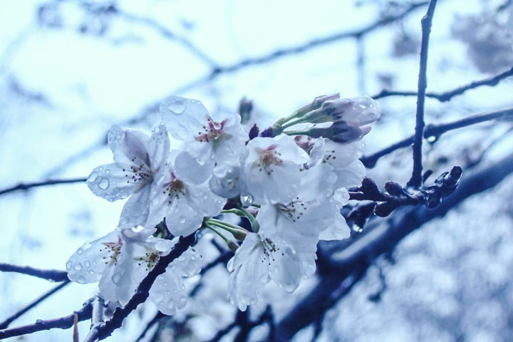 yanping-ma-qt5jbzomajc-unsplash_orig
